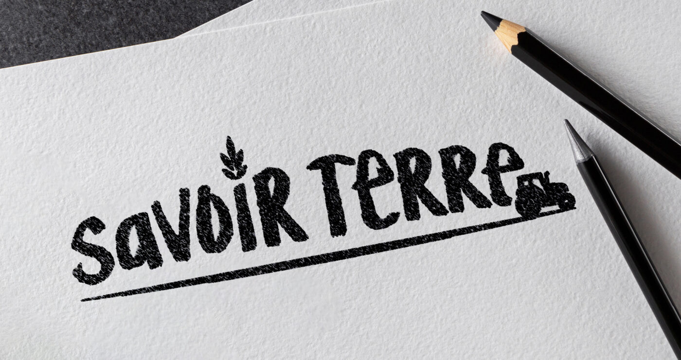 création identité de marque